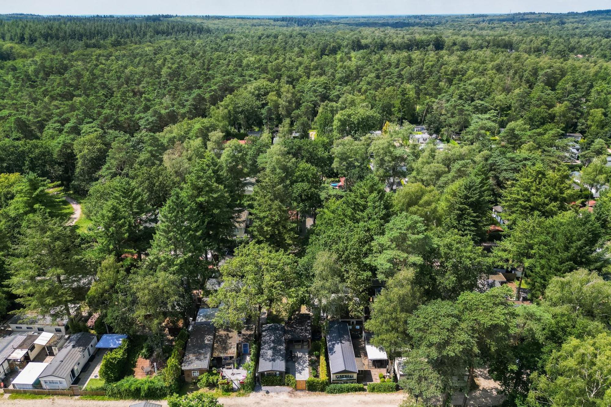 Veluwe Hoenderloo Luxury Chalet With Private Sauna And Hot Tub - Swimming Pool Tennis Court Supermarket Bowling Alley Theatre And Entertainment For Children Bagian luar foto